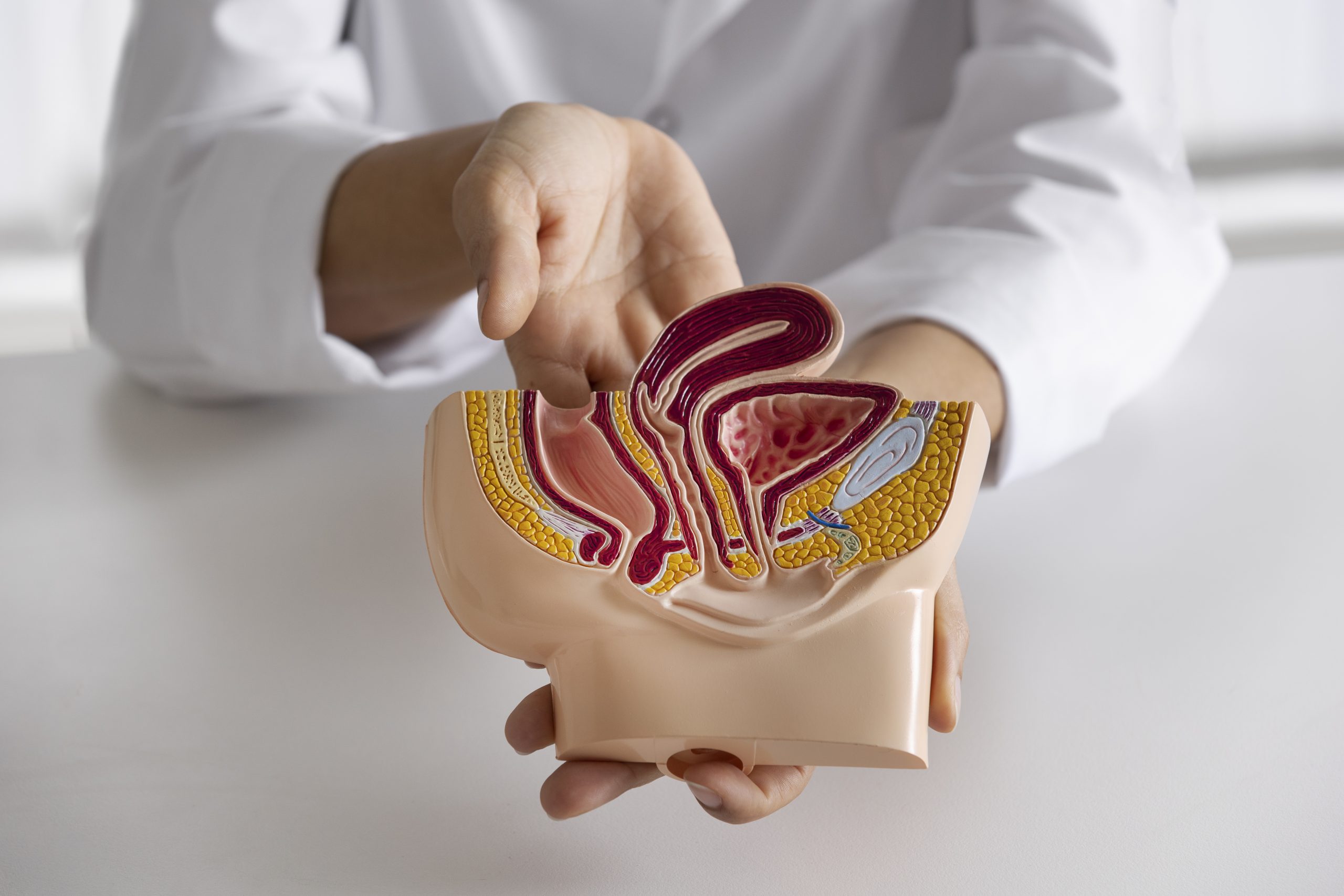 Top 10 Home Remedies for Piles: Causes, Symptoms, Treatment, and Precautions