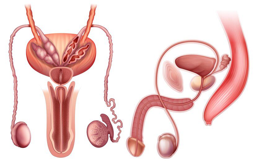 Hydrocele Specialist